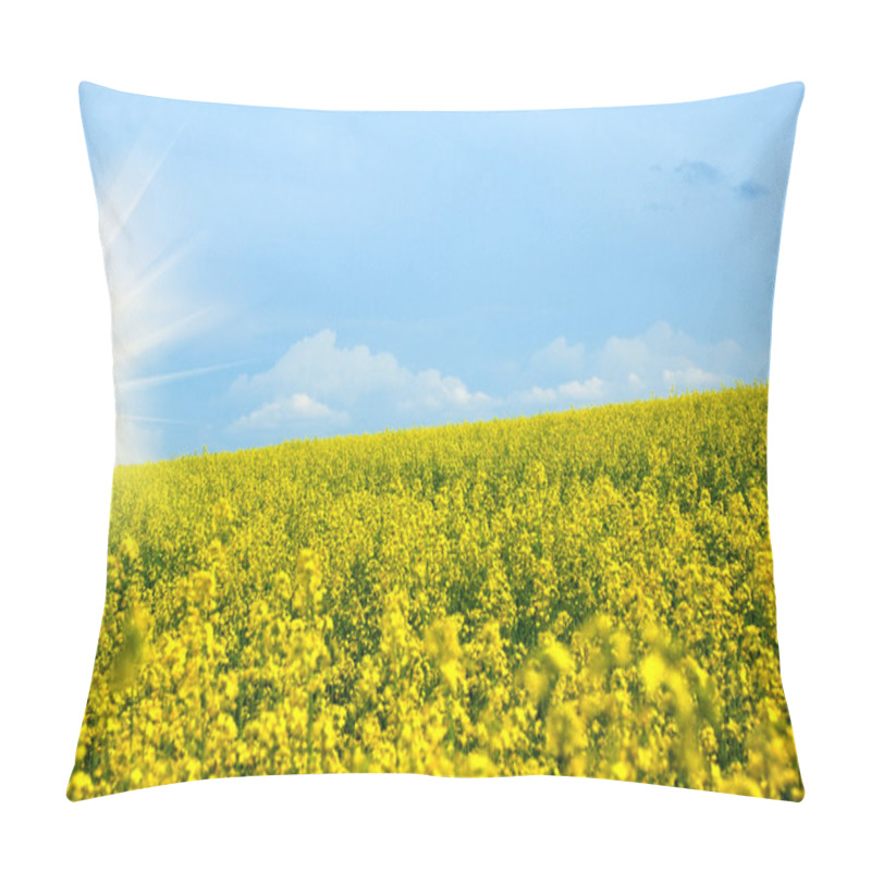 Personality  Rape Field Pillow Covers