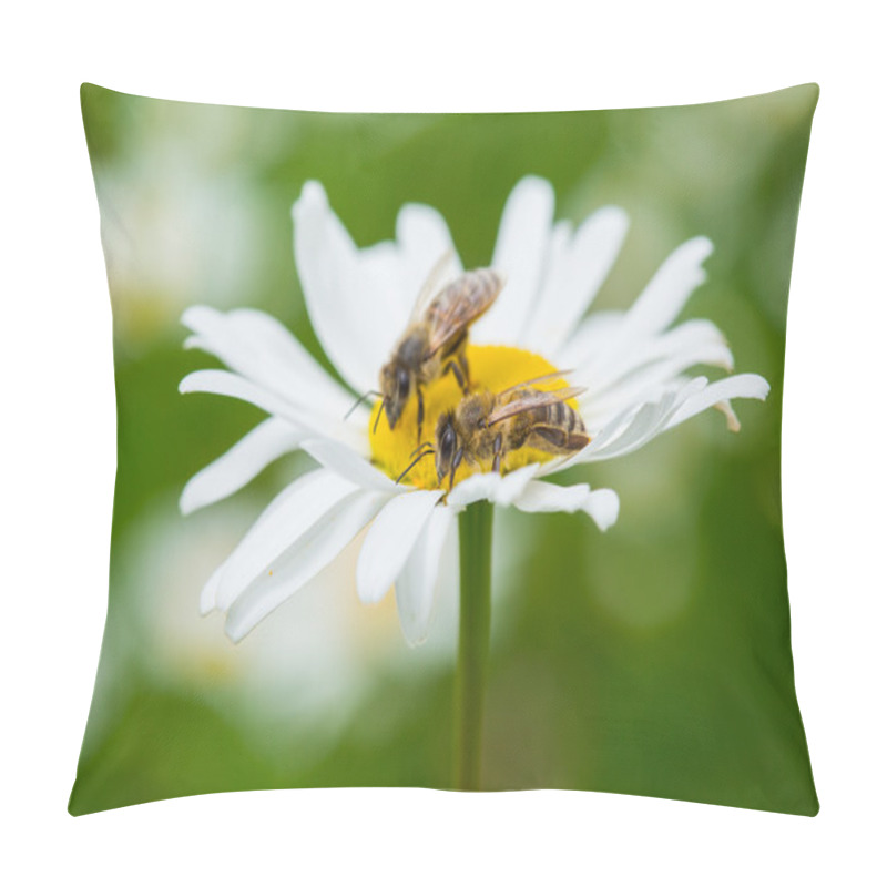 Personality  Bees Sucking Nectar Pillow Covers