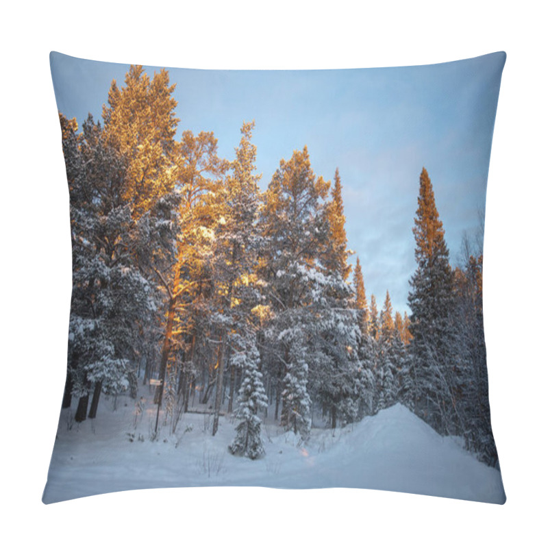 Personality  Arctic Winter Nature Photography In Kiruna Swedish Lapland. Photographed In November. Pillow Covers