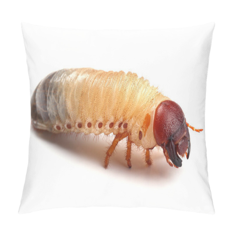 Personality  Larva Of Cockchafer Isolated On White Pillow Covers