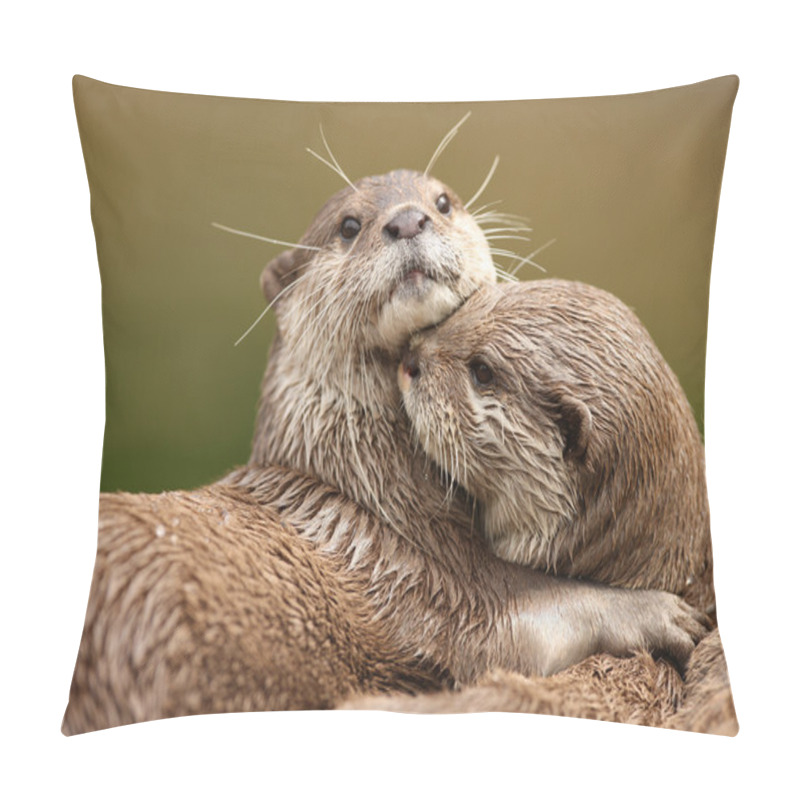 Personality  Oriental Short-Clawed Otters Pillow Covers