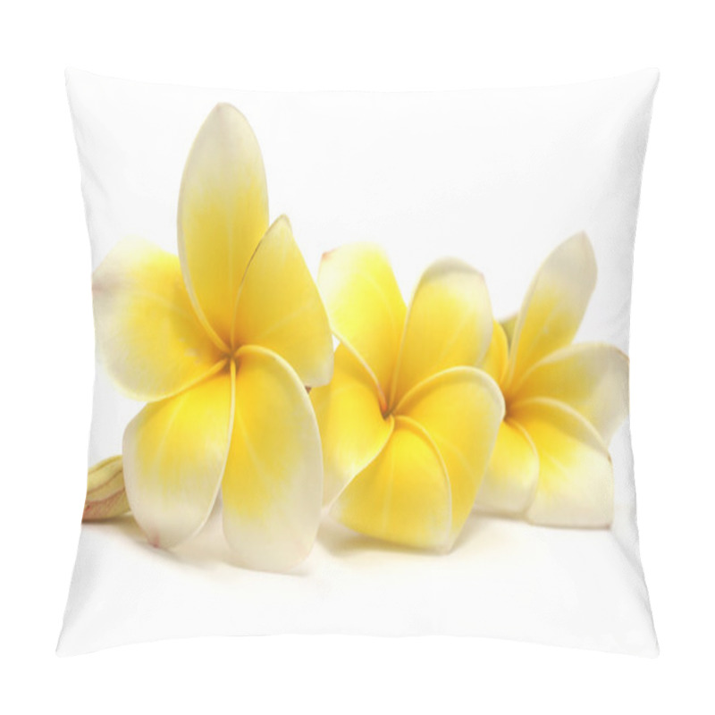 Personality  Tropical Frangipani Pillow Covers