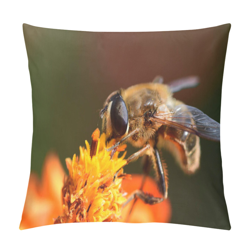 Personality  Bee On An Orange Coreopsis Pillow Covers