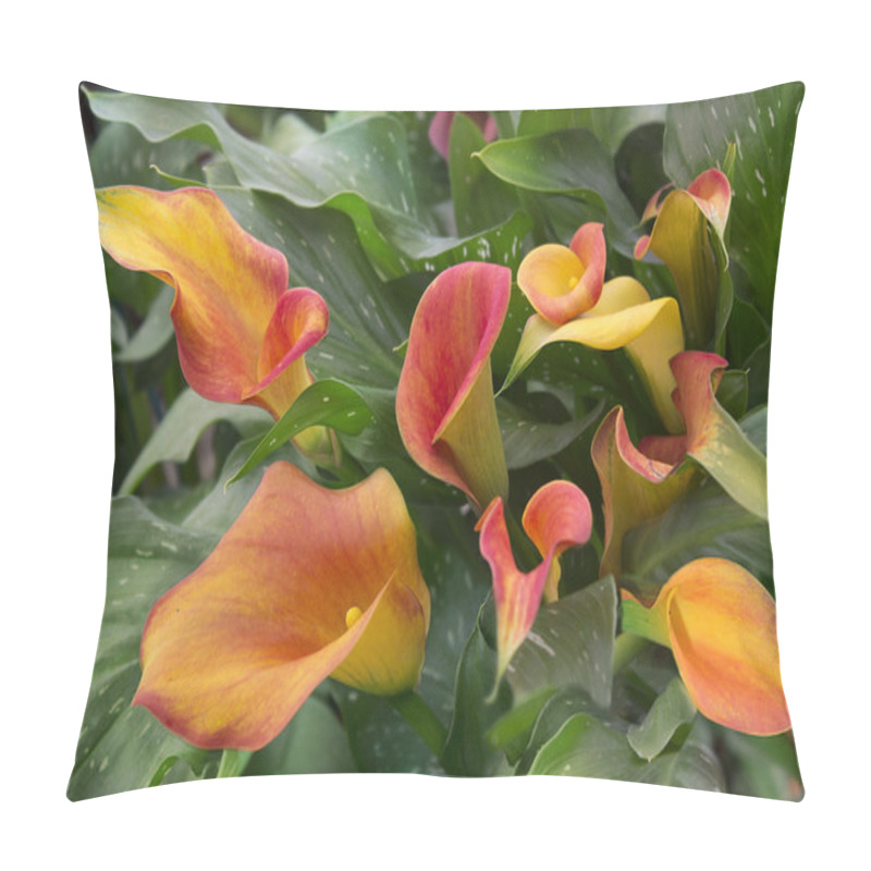 Personality  Orange Calla Lily With Many Leaves Pillow Covers