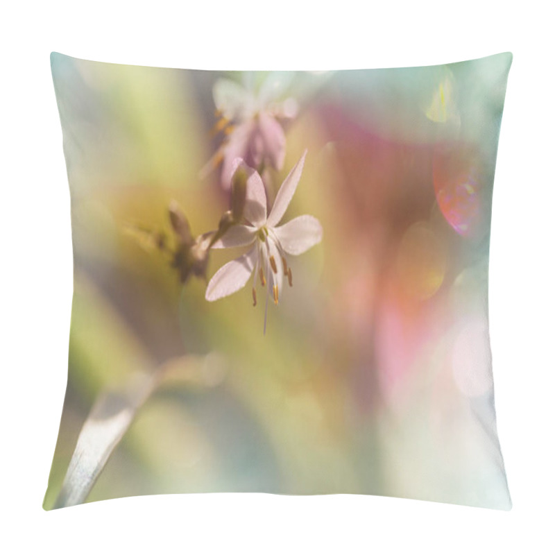 Personality  Spring Flowers, Close Up Shot Pillow Covers