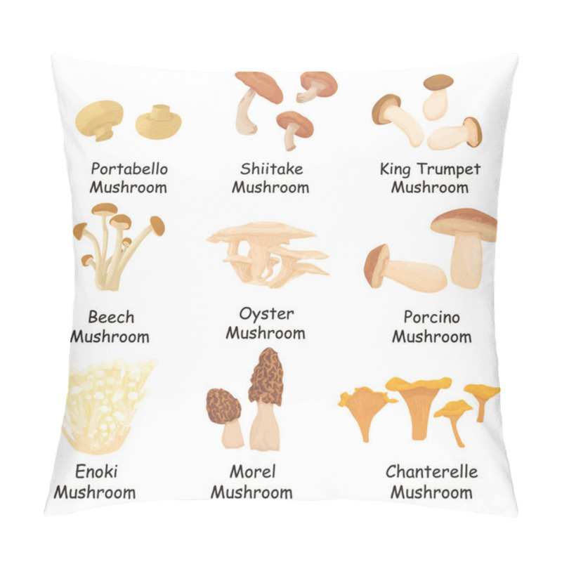 Personality  Illustration Set Of Edible Mushrooms With Names Isolated On White Background. Varieties Of Mushrooms. Porcini. Morel Mushroom. Chanterelle. King Trumpet Mushroom. Shiitake. Portobella. Enoki. Flat Vector. Pillow Covers