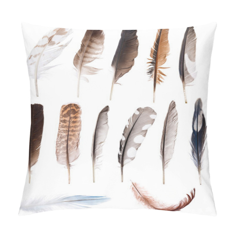 Personality  Thirteen Feathers Isolate On White Pillow Covers