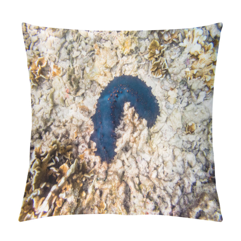 Personality  Underwater Photos Of Sea Cucumber Or Holothuroidea Is A Marine Animals With A Black And Leathery Skin And An Elongated Body Containing A Single At Ko Tao Island In Thailand Pillow Covers