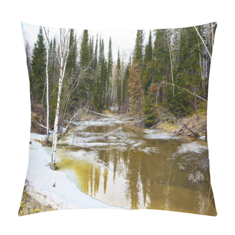 Personality  Spring Stream In The Siberian Taiga Pillow Covers