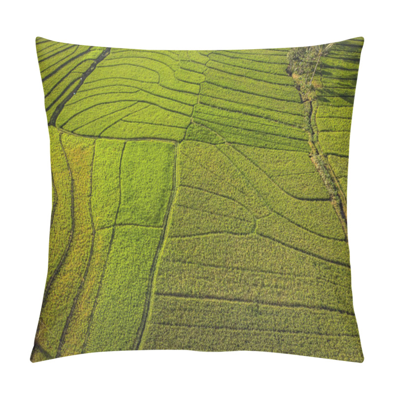 Personality  Aerial Top View Green Rice Field Terrace; Yogyakarta, Indonesia - 15 July 2018 Pillow Covers