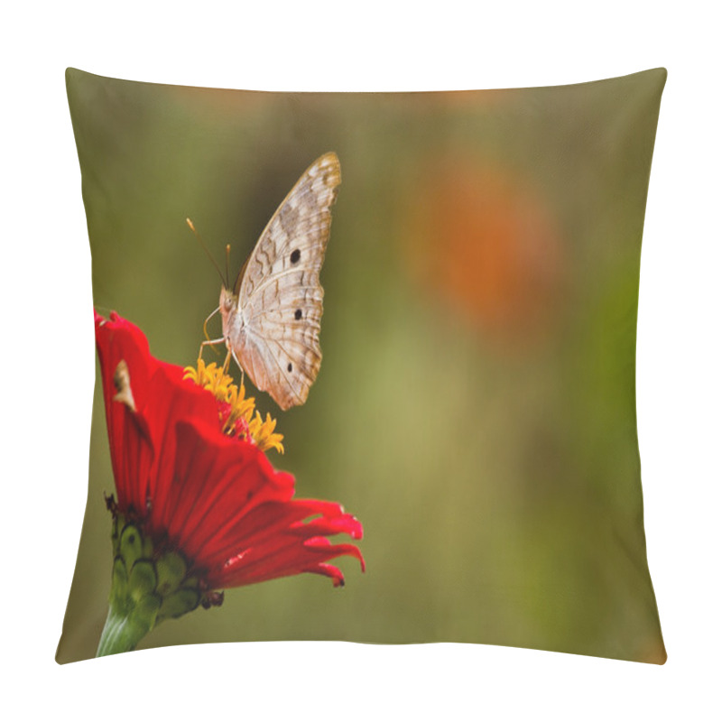 Personality  Close Up Shot Of Butterfly On Rainforest Flower, Ecuador Pillow Covers