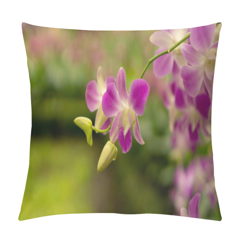 Personality  Bunches Of Pink Petals Dendrobium Hybrid Orchid Bloosom On Dark Green Leaves Blurry Background  Pillow Covers