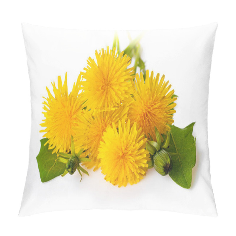 Personality  Yellow Dandelion Flowers (Taraxacum Officinale). Dandelions Isolated On White Background. Blooming Dandelion.  Pillow Covers