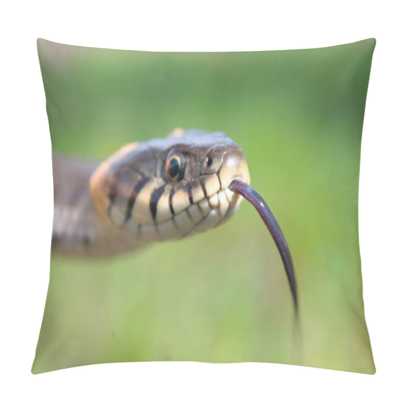 Personality  Funny Grass Snake Pillow Covers