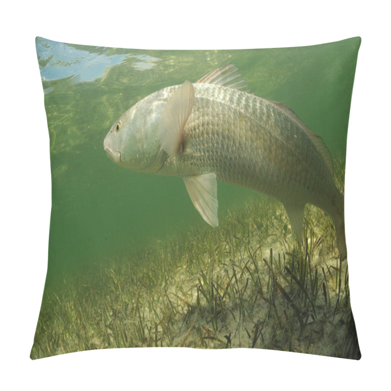 Personality  Redfish Is Swimming In The Grass Flats Ocean Pillow Covers