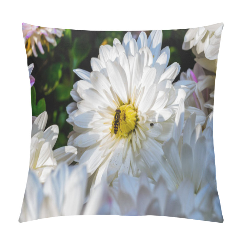 Personality  Flower Fly Hoverfly Collects Nectar On Autumn Flowers Chrysanthemum Pillow Covers