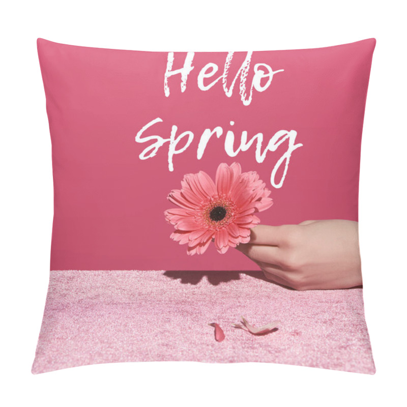 Personality  Cropped View Of Woman Holding Gerbera With Petals On Velour Cloth Isolated On Pink, Hello Spring Illustration Pillow Covers