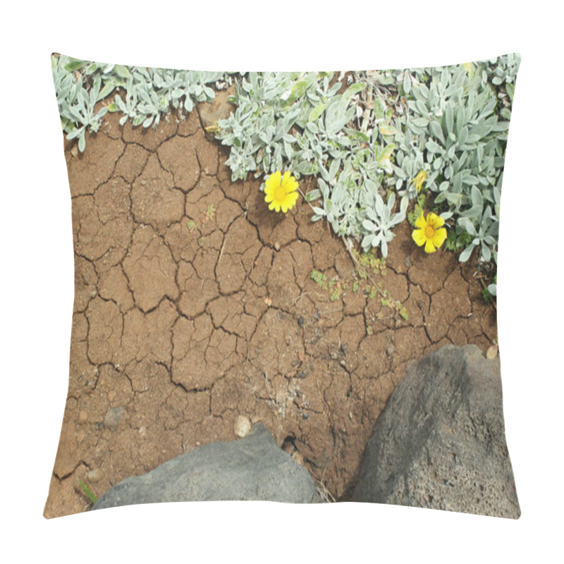 Personality  Close Up Of Volcanic Ground With Creeps With Spontaneous Branching Of Succulent Plant With Yellow Flowers Pillow Covers