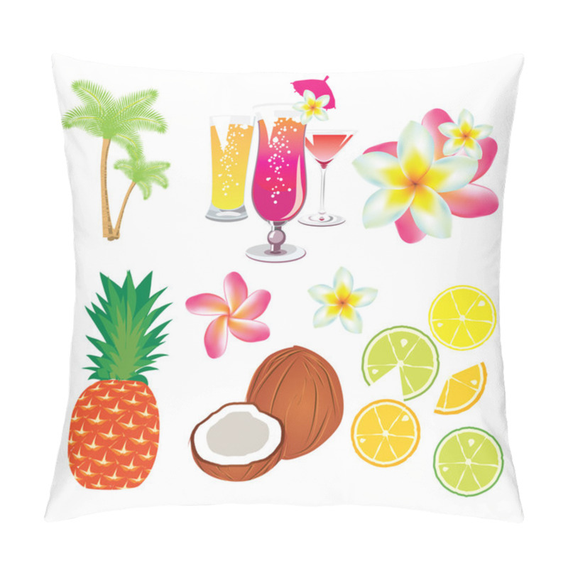 Personality  Tropical Fruits, Flowers And Cocktails Pillow Covers