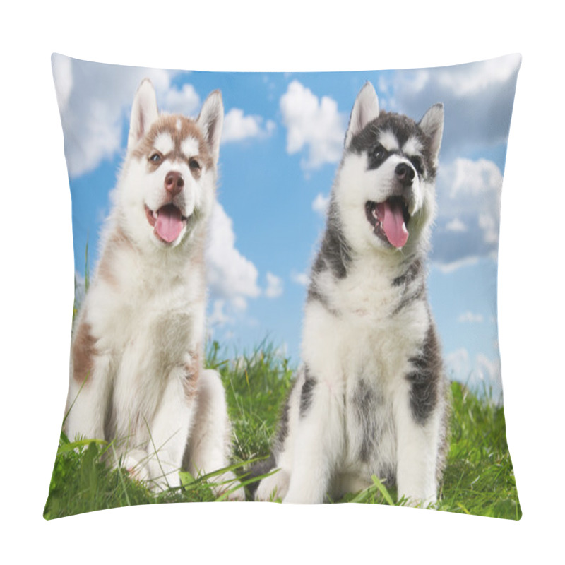 Personality  Two Siberian Husky Puppy Dog On Grass Pillow Covers