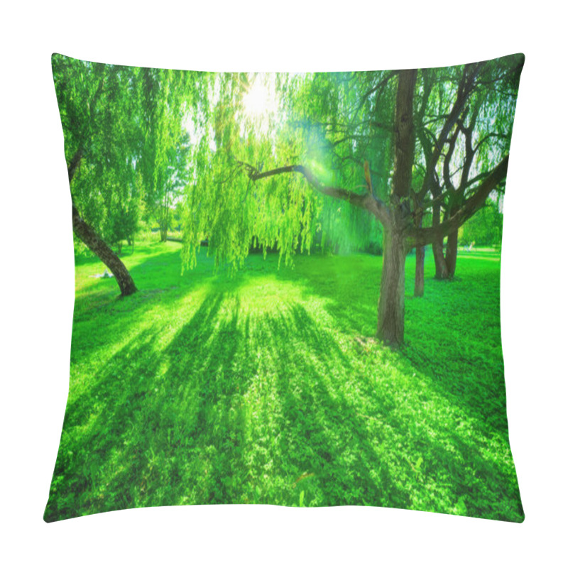 Personality  Green Summer Park. Pillow Covers