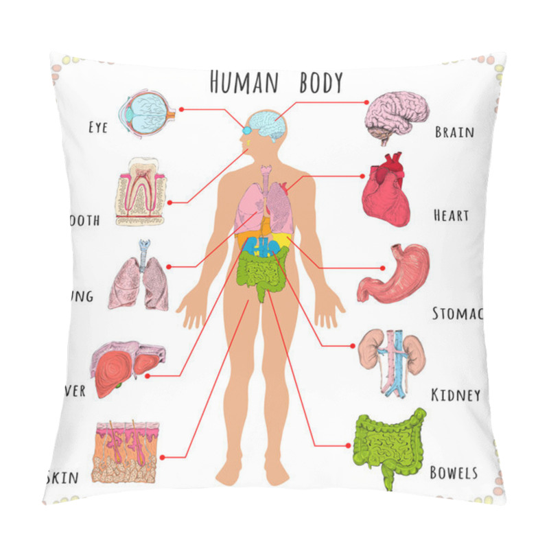 Personality  Human Body Medical Demographic Pillow Covers