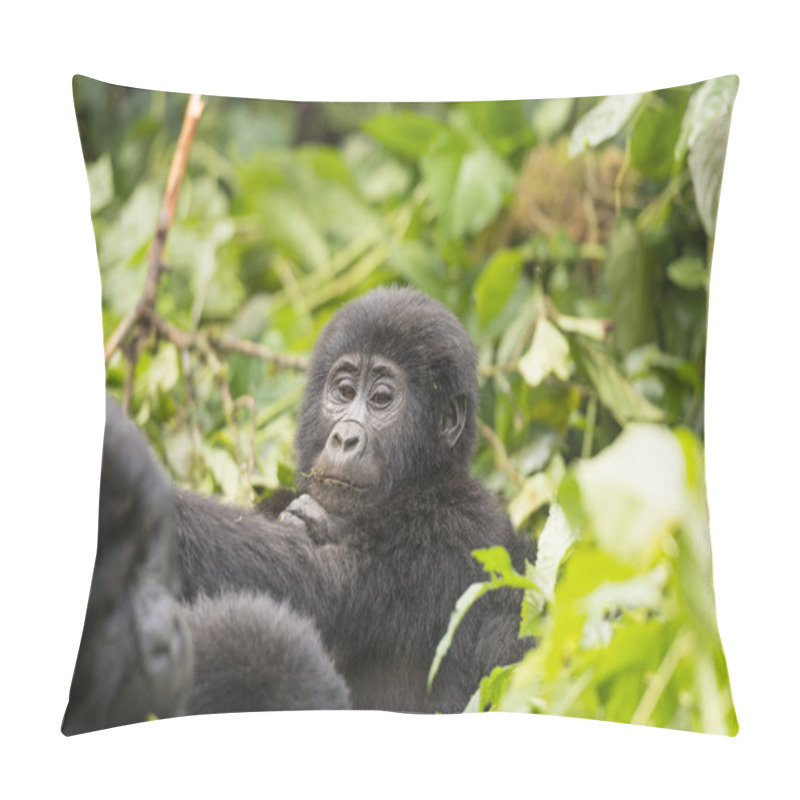 Personality  Young Gorilla In The Forest Pillow Covers