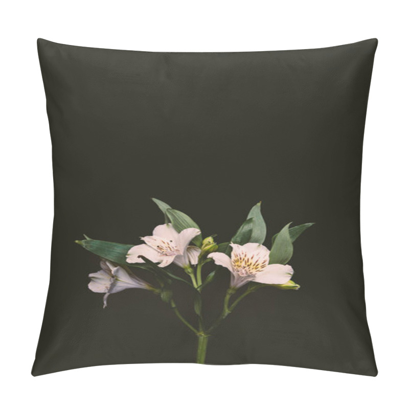 Personality  Beautiful Tender Pink Lily Flowers With Green Leaves On Twig Isolated On Black Pillow Covers