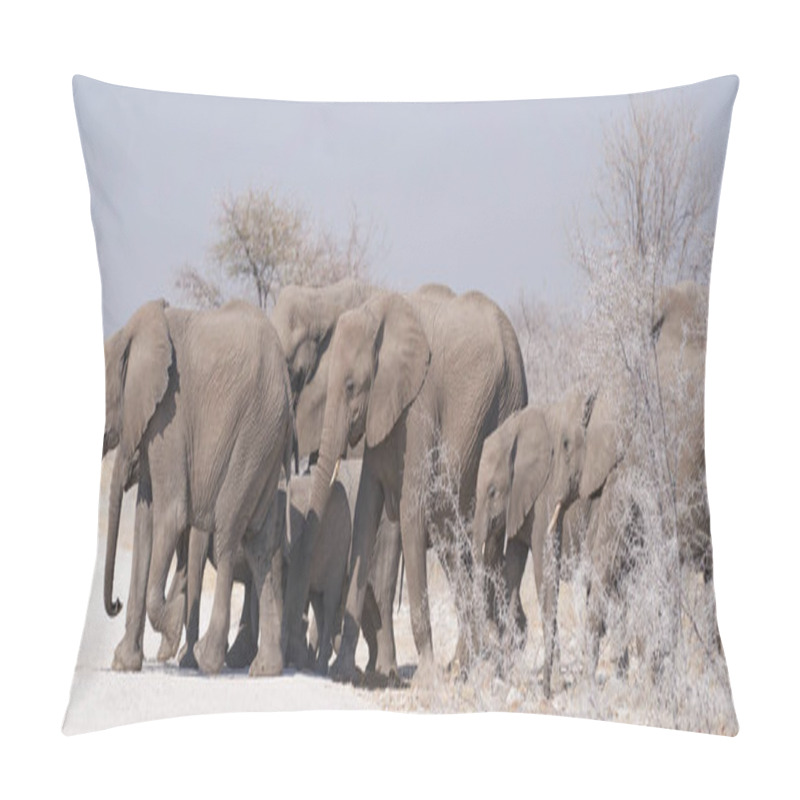 Personality  Group Of African Elephant (Loxodonta Africana) Crossing A Gravel Road En Route To A Waterhole In Etosha National Park, Namibia Pillow Covers