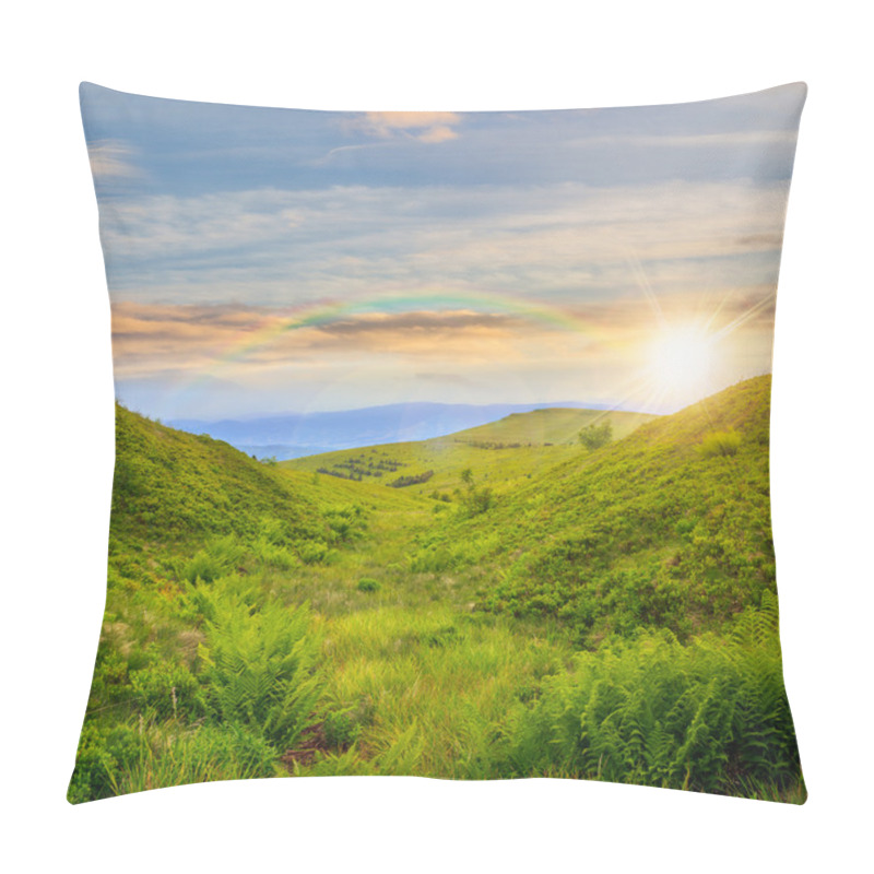 Personality  High Wild Plants At The Mountain Top At Sunset Pillow Covers