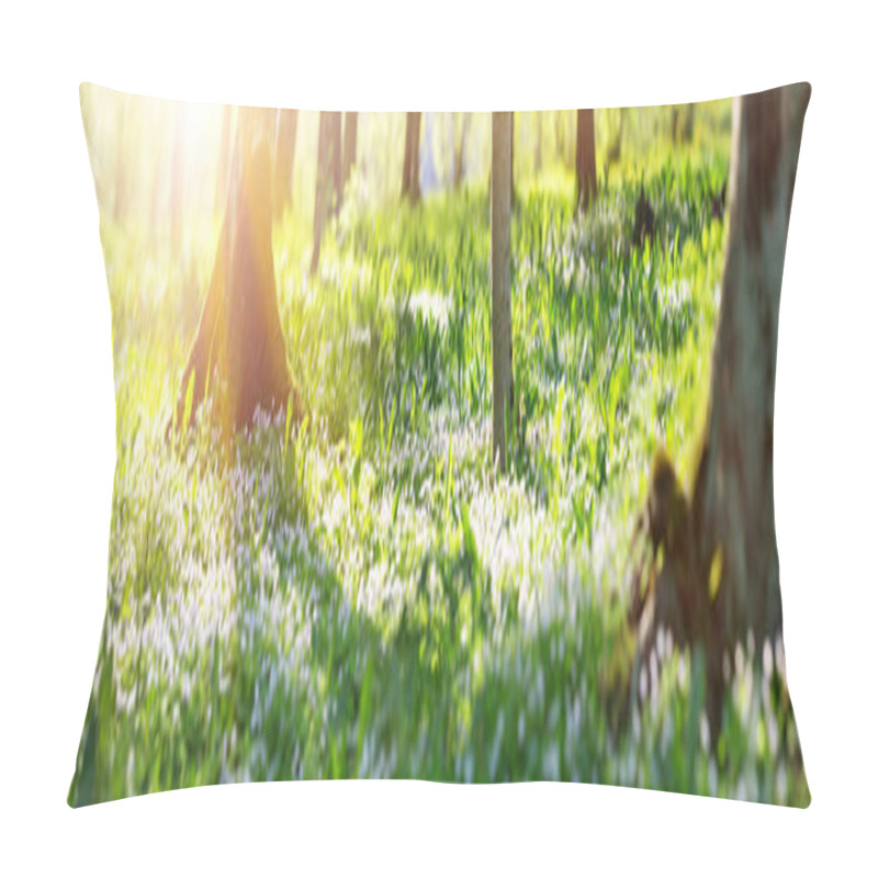 Personality  Wood With Lots Of White Spring Oxalis Flowers In Sunny Day. Forest In Springtime In Wild Nature With Fresh New Foliage Pillow Covers