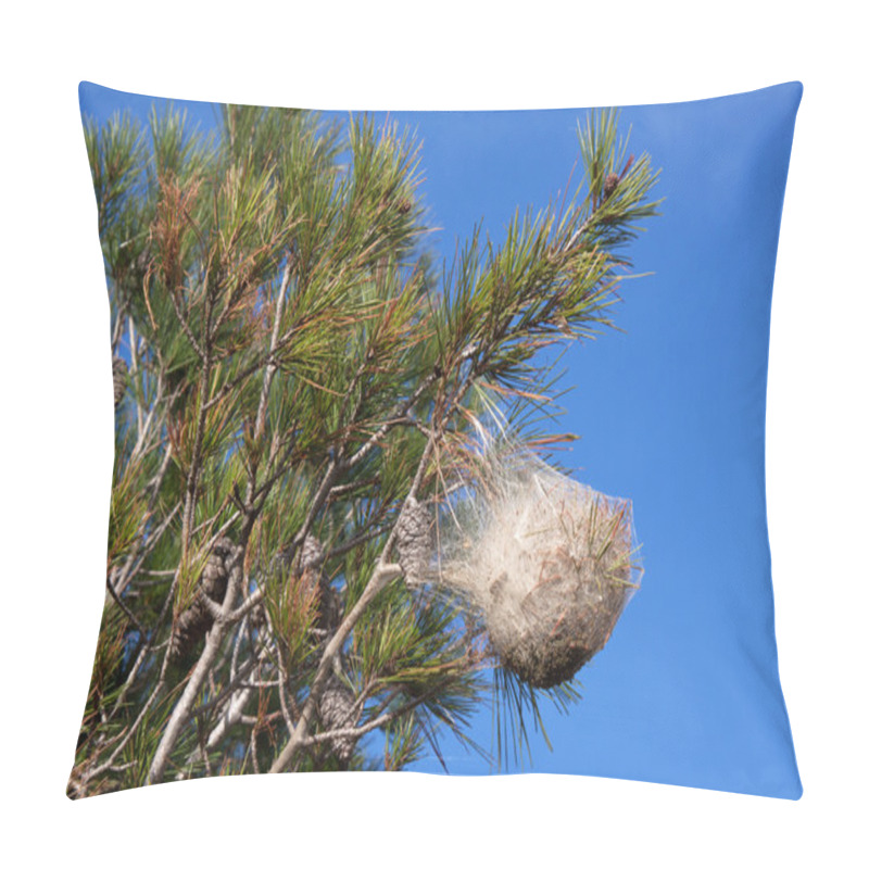 Personality  Pine Processionary Nest On A Pine Tree Pillow Covers