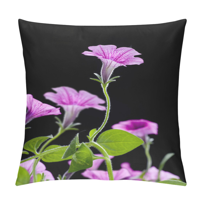 Personality  Bell Flowers Pillow Covers