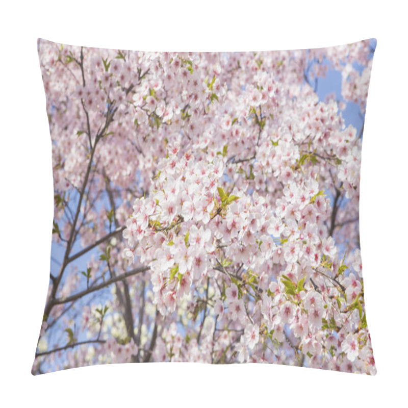 Personality  Pink Cherry Blossom Background Pillow Covers