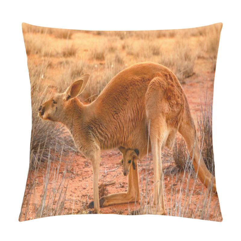 Personality  Kangaroo With A Joey Australia Pillow Covers