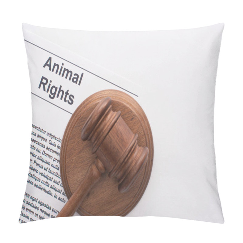 Personality  Top View Of Judge Gavel On Animal Rights Inscription On White Background Pillow Covers