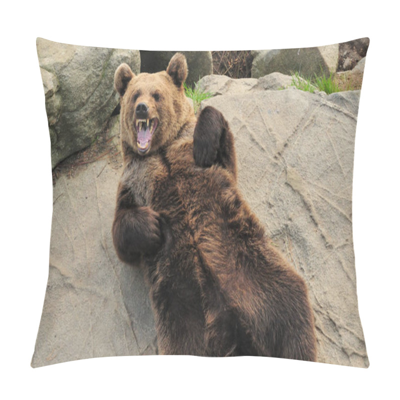 Personality  Funny Brown Bear In Ranua Zoo Finland On A Beautiful Sunny Summer Day Pillow Covers