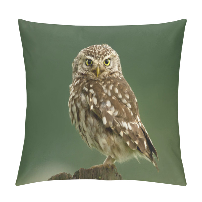 Personality  Close-up Of A Little Owl Perching On A Log  Pillow Covers