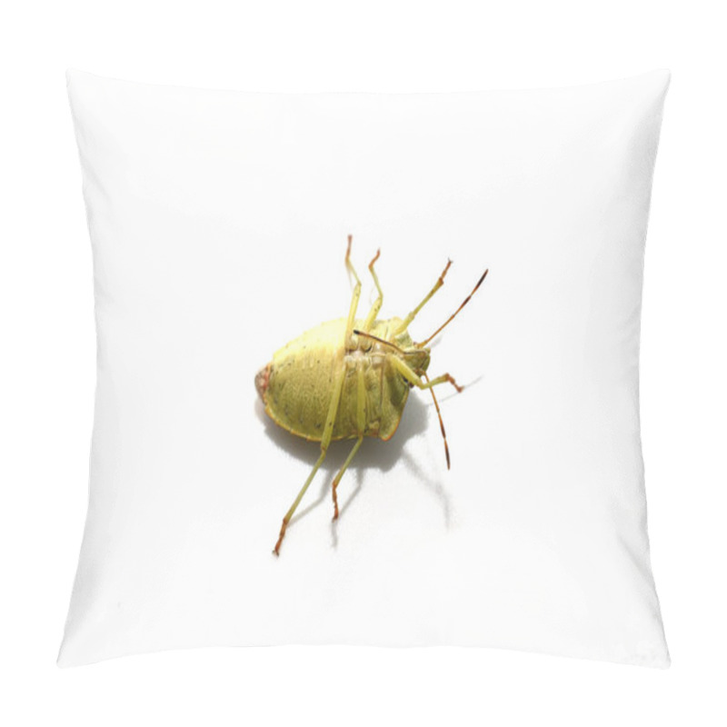 Personality  The Shield Bug Lies On Its Back With Its Legs Up. Pillow Covers