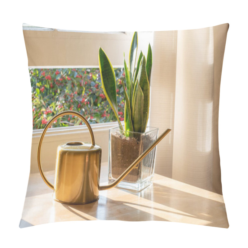 Personality  Indoor Houseplants By The Window Inside A Beautiful New House Or Flat Pillow Covers