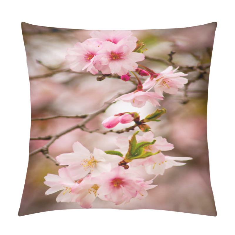 Personality  Cherry Blossoms Pillow Covers