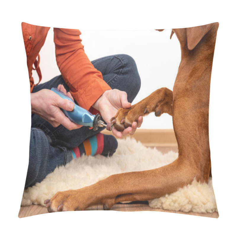 Personality  Dog Nails Grinding. Woman Using A Dremel To Shorten Dogs Nails. Pet Owner Dremeling Nails On Vizsla Dog. Pillow Covers