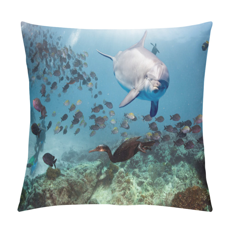 Personality  Dolphin Underwater On Reef Close Up Look Pillow Covers