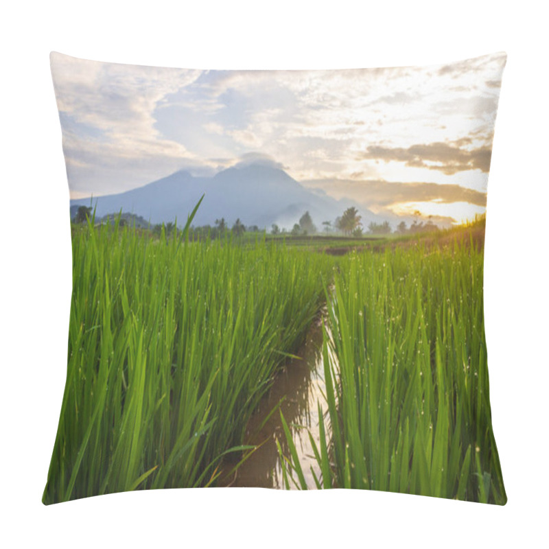 Personality  Indonesian Landscape, Rice Field Farming Area With Morning Dew Pillow Covers