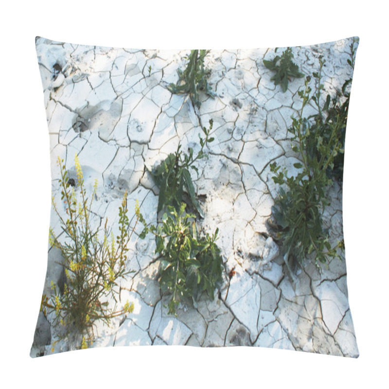 Personality  Flowers In Grunge Cement With Fissures T Pillow Covers