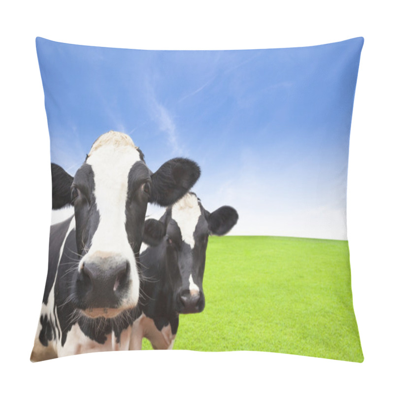 Personality  Cow On Green Grass Field With Cloud Background Pillow Covers