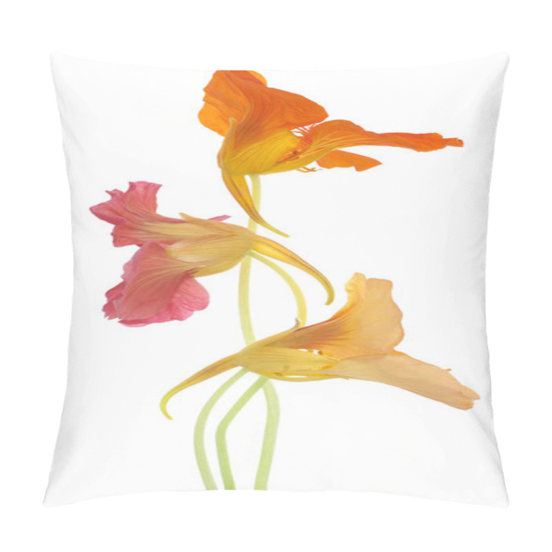 Personality  Nasturtium Pillow Covers