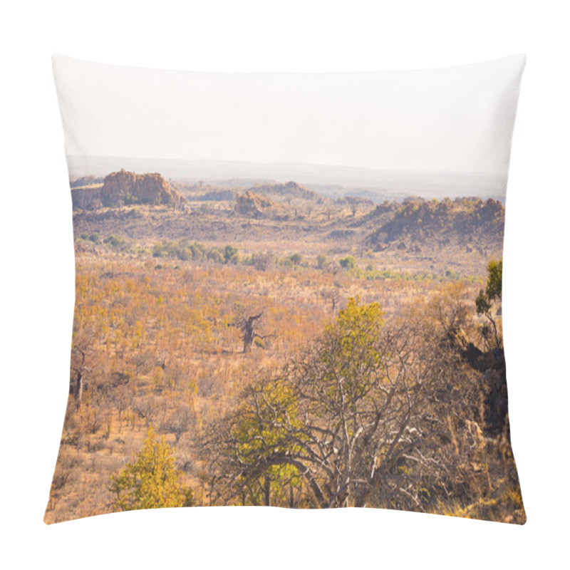 Personality  The Desert Landscape Of Mapungubwe National Park, Low Key But Majestic Travel Destination In South Africa. Braided Acacia And Huge Baobab Trees With Red Sandstone Cliffs. Pillow Covers