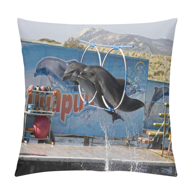 Personality  Two Dolphin's Jumping Pillow Covers