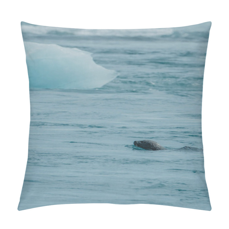 Personality  Harbor Seal Swimming Near The Coast Of Breidamerkursandur, South Iceland. Pillow Covers